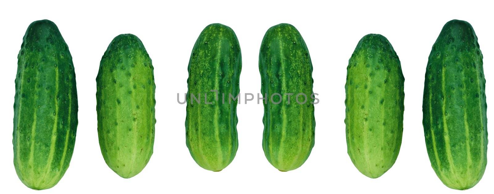 Cucumber on White Background by ozaiachin