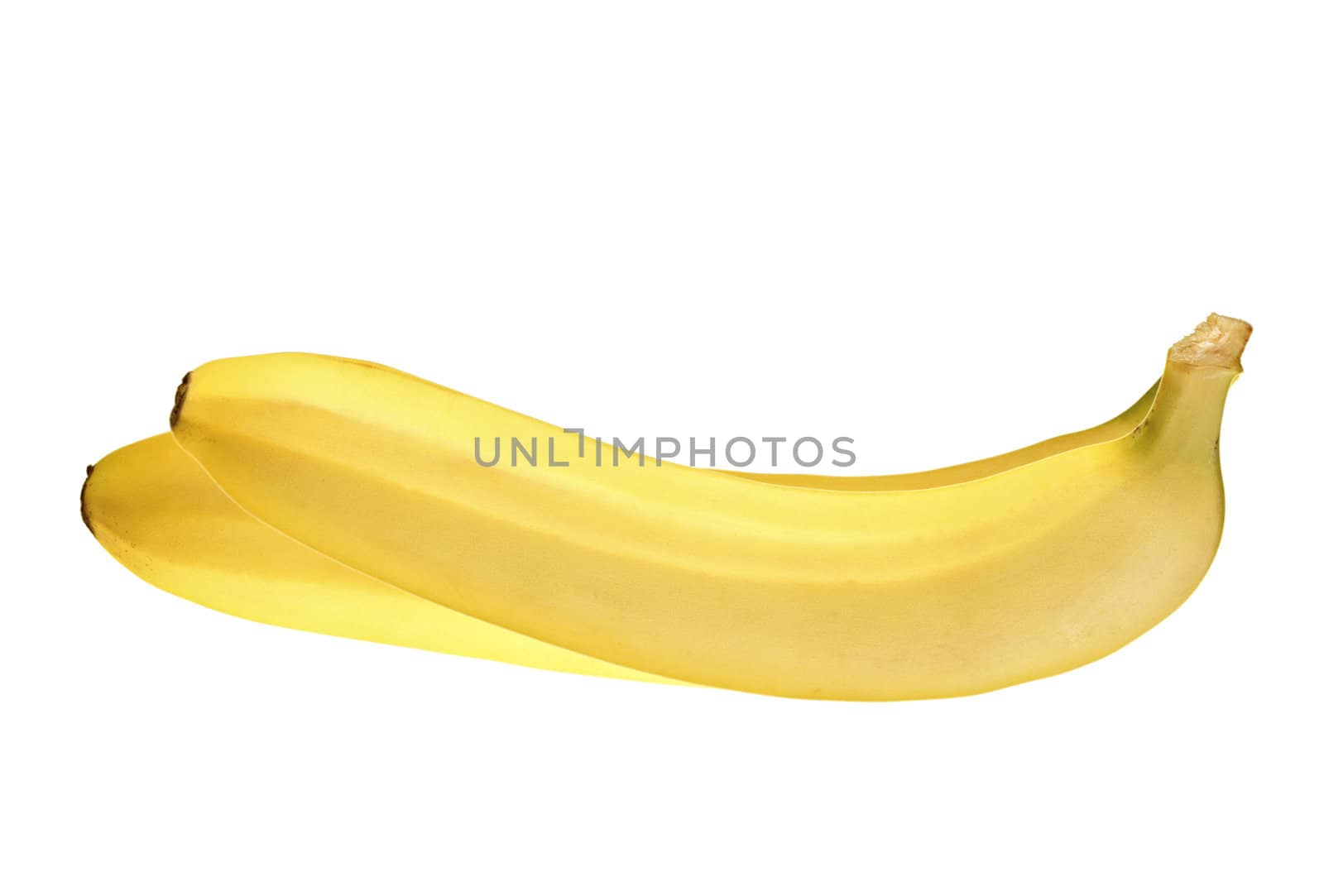 Two mature bananas, on white background.