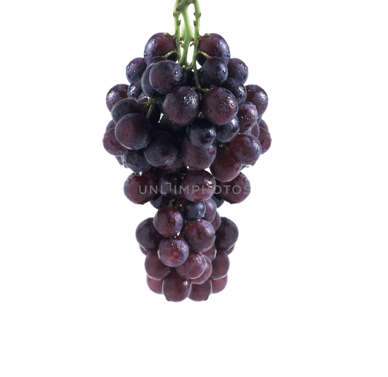 Fresh bunch of red wine on a white background