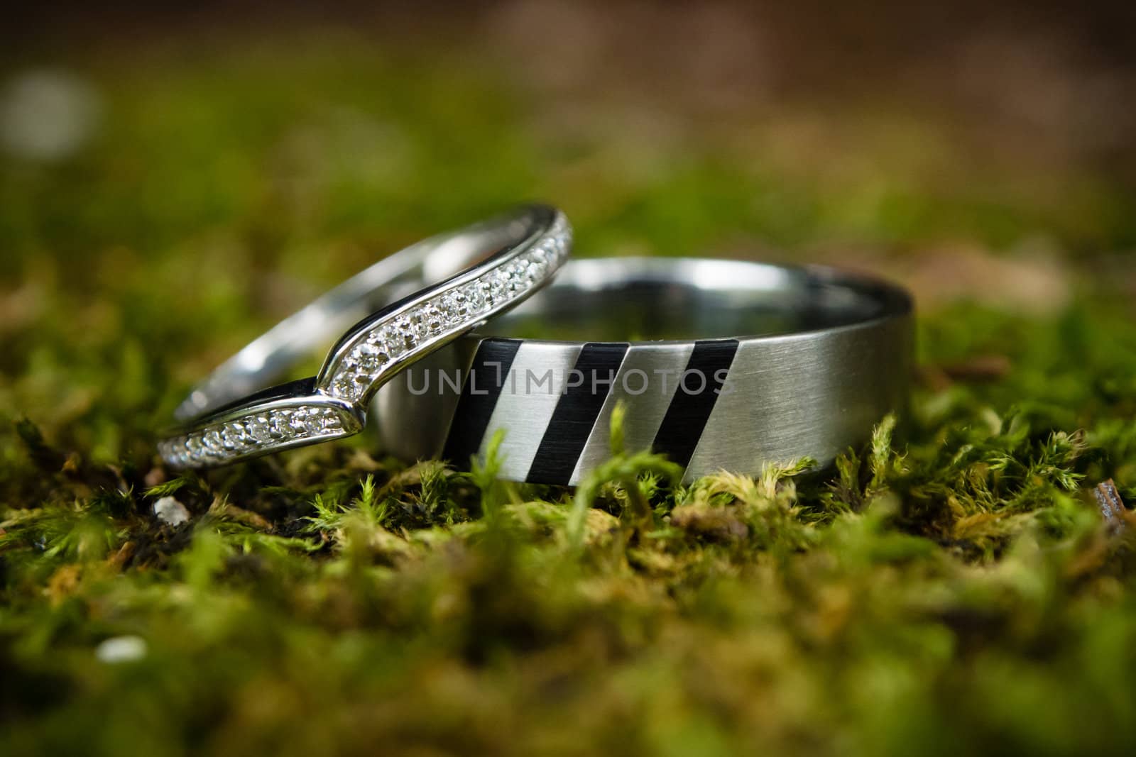 Wedding rings in the nature