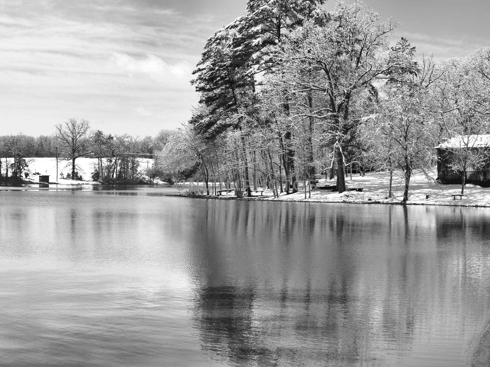 a rural lake in North Carolina after a snow fall