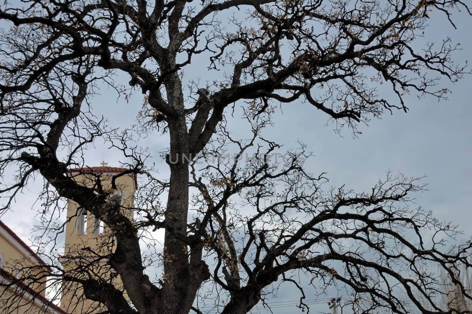 Church under moody sky obscured by oak tree branches silhouette.