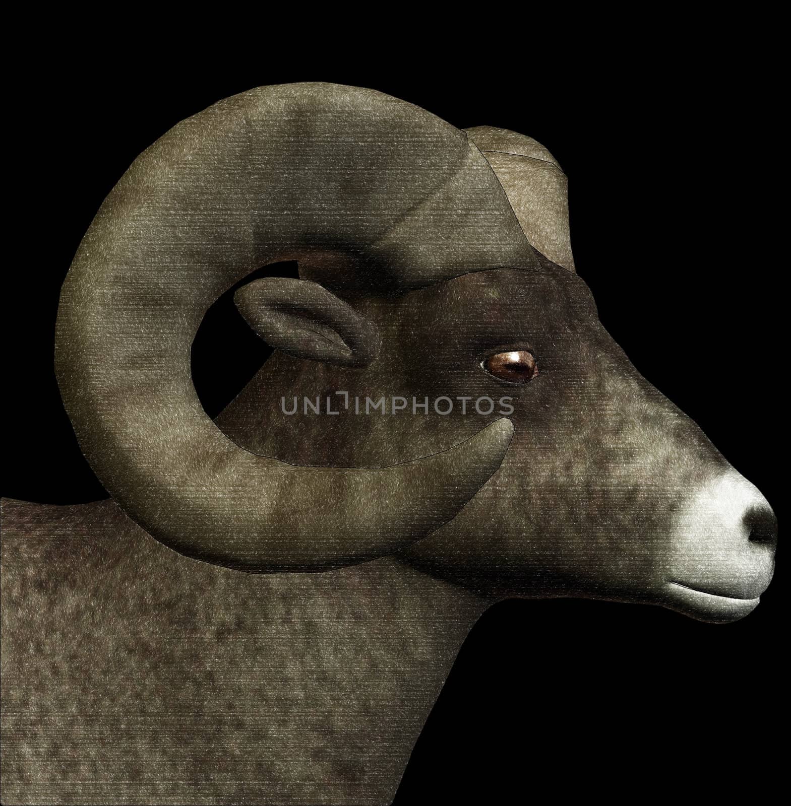 Goat with horns sketch digital 3d illustration.