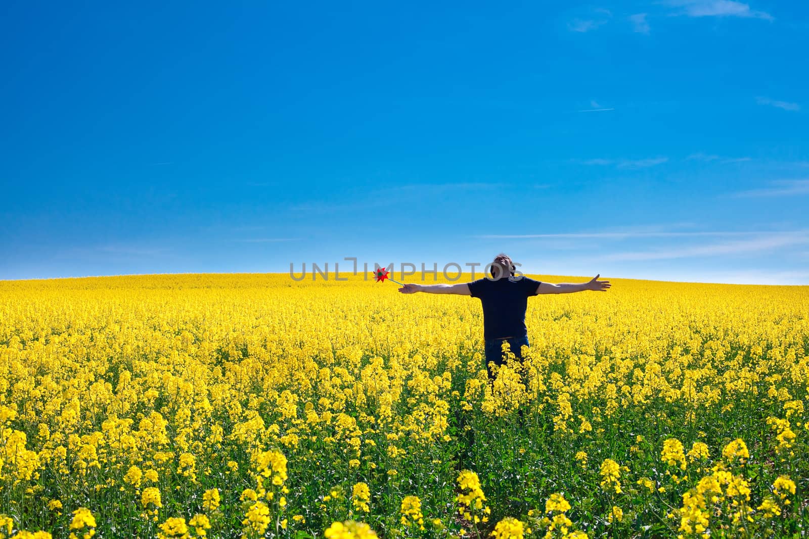 man with pinwheel standing in a field of yellow rape against the by jannyjus