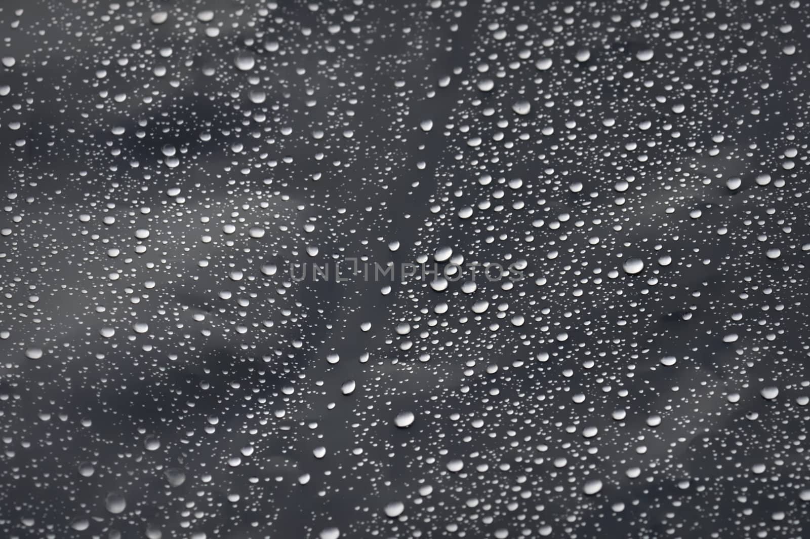 Raindrops on transparent plastic surface. Selective focus.