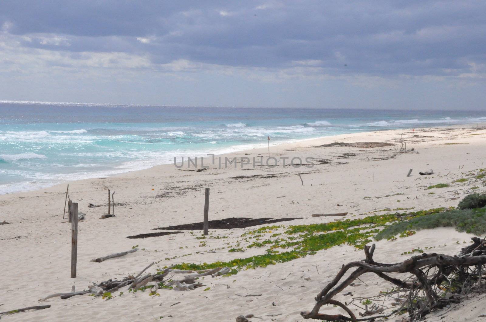 Beach in Cancun, Mexico