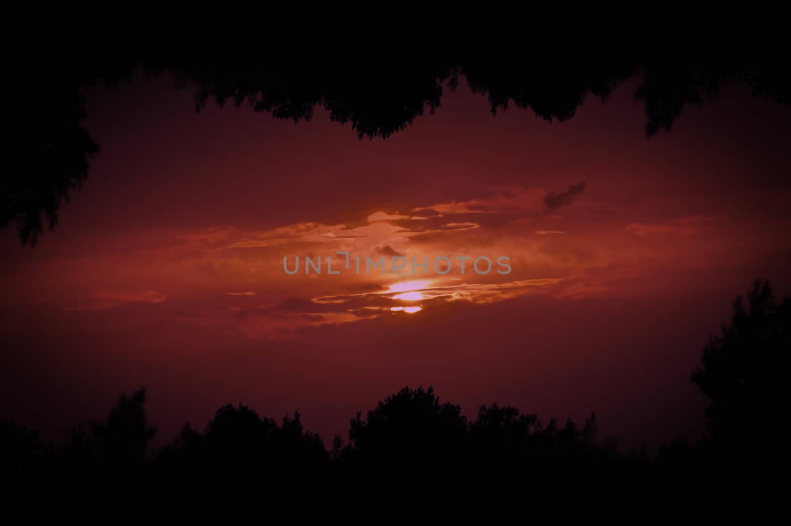 Double printed photo of setting sun behind clouds and tree silhouettes frame.