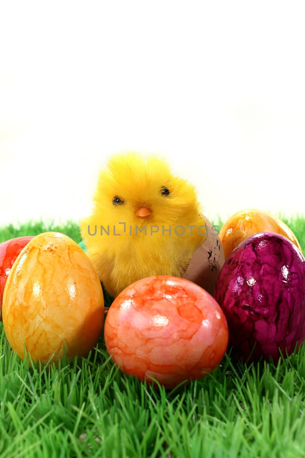 variety of colorful Easter eggs on a meadow