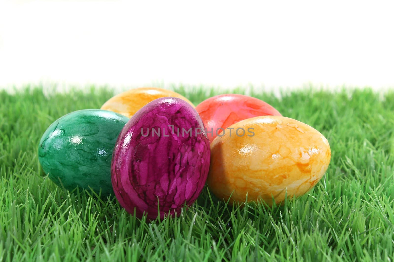 variety of colorful Easter eggs on a meadow