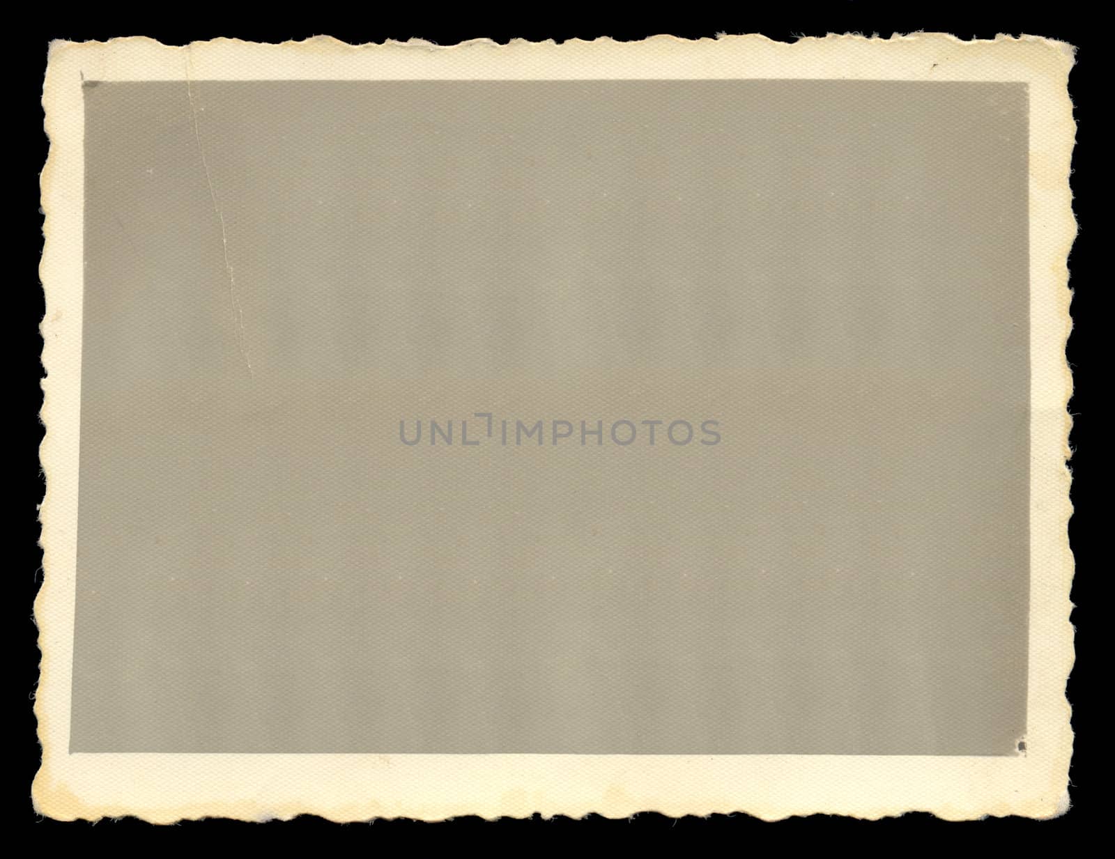Vintage old blank photograph design element with white border.