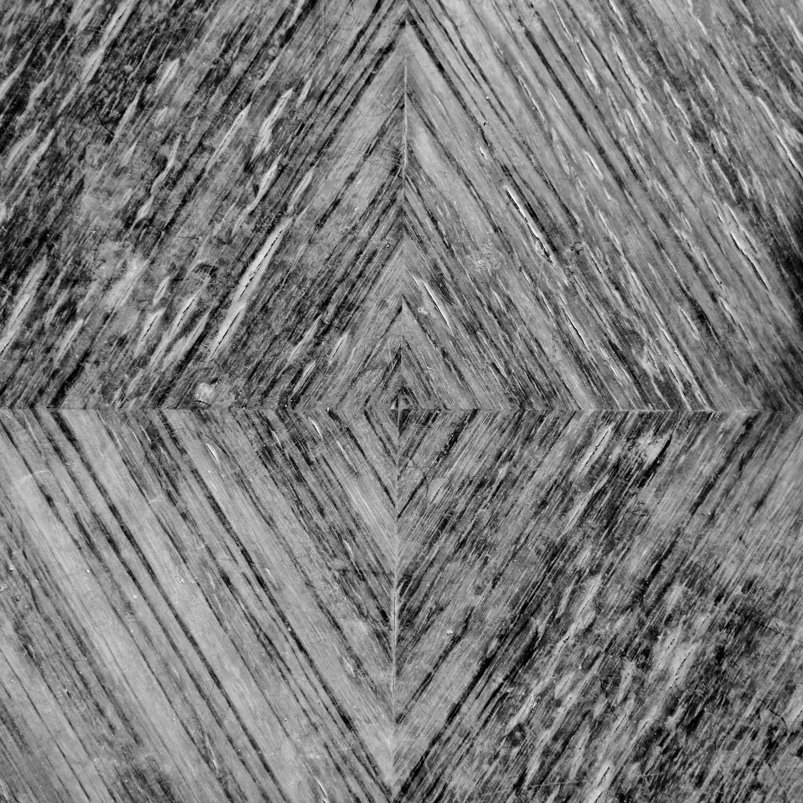 Wood grunge background with growth rings pattern. Black and white.