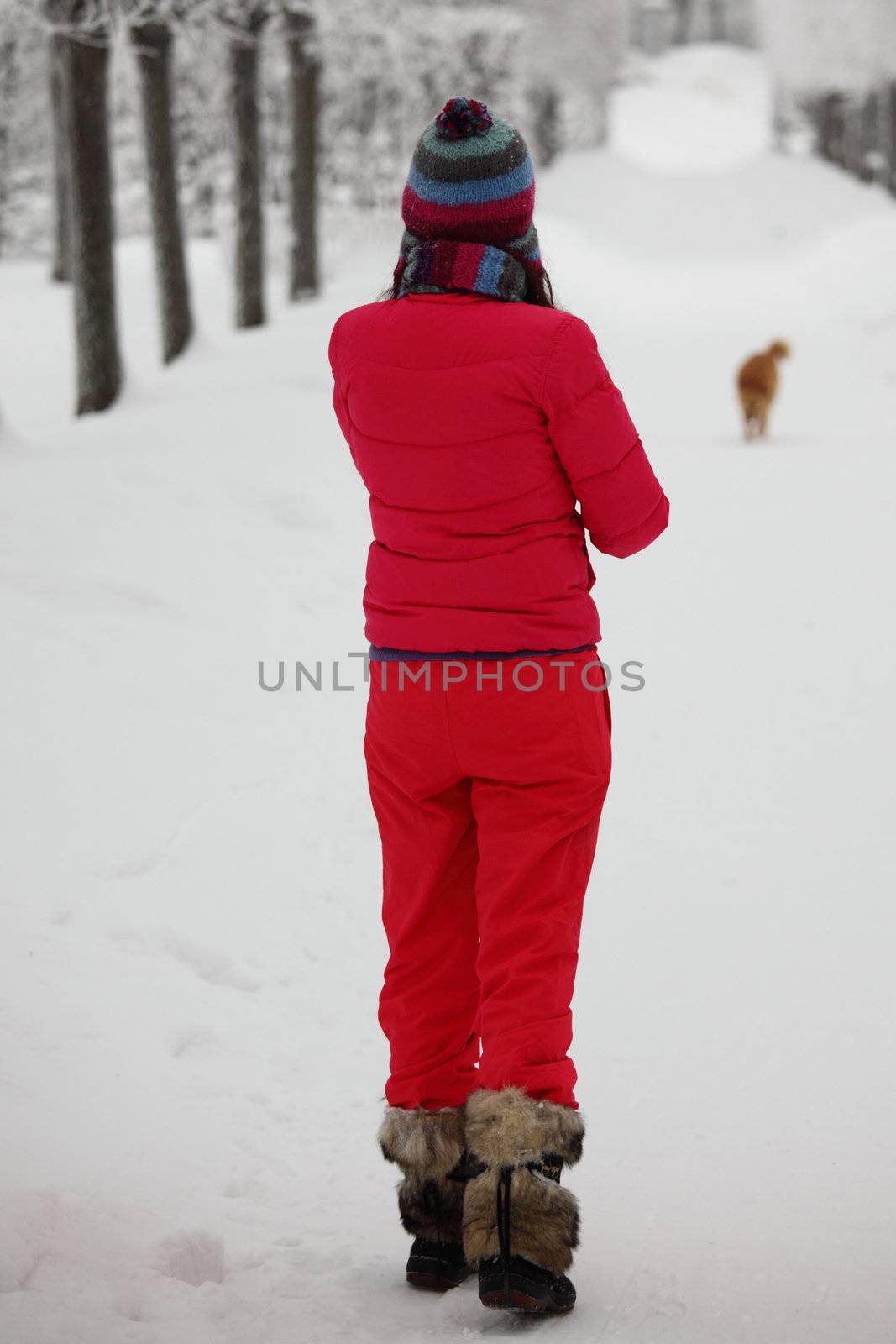 two women walk by winter alley snow trees on background