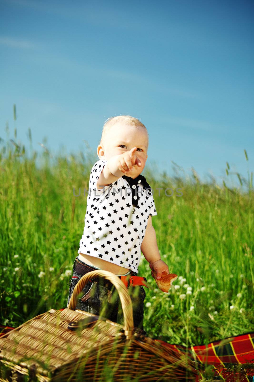  picnic on green grass boy and basket