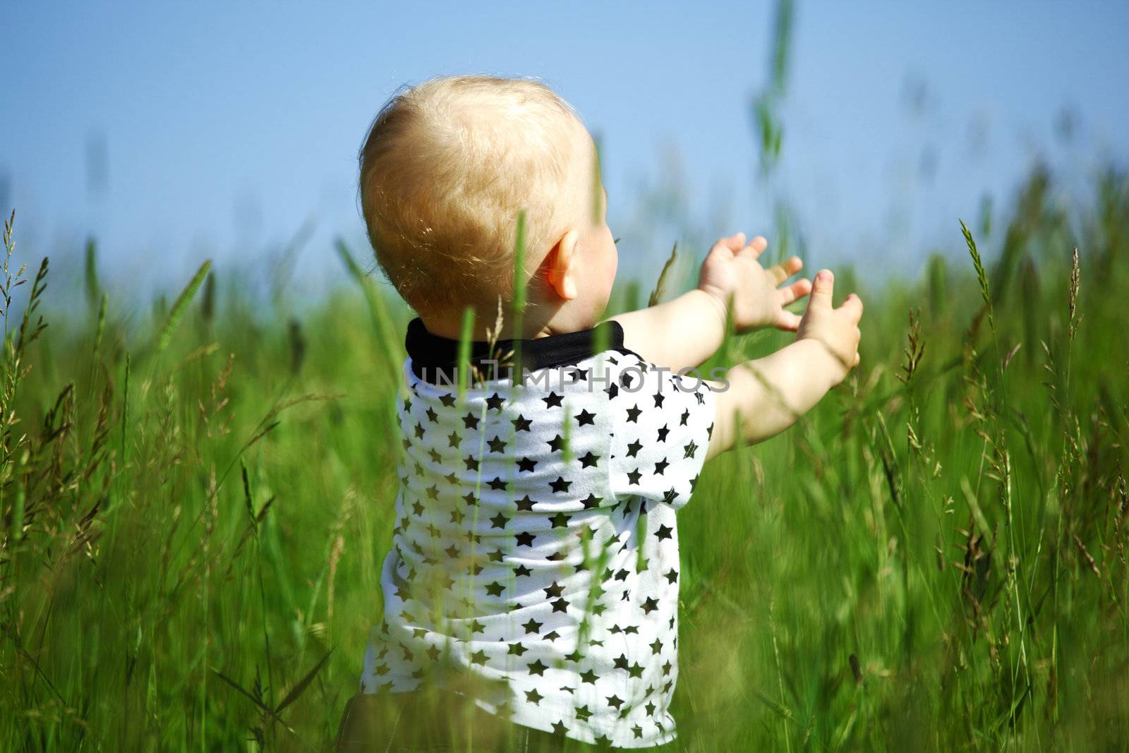 little boy play in green grass