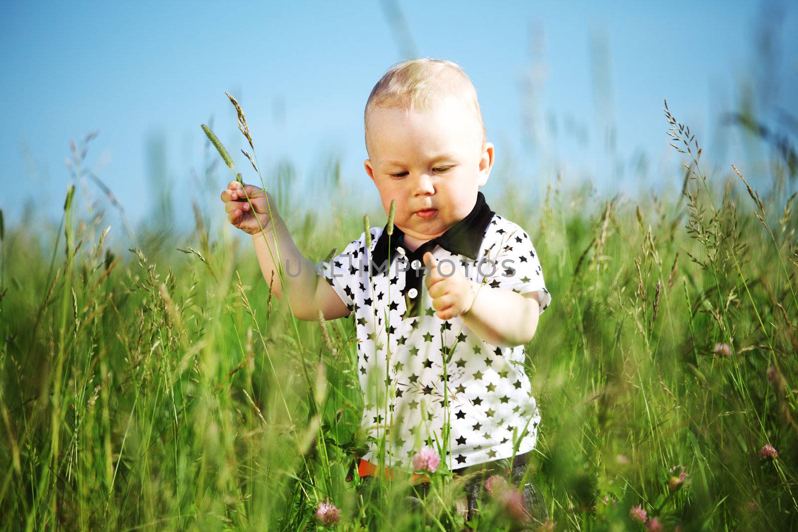 little boy play in green grass