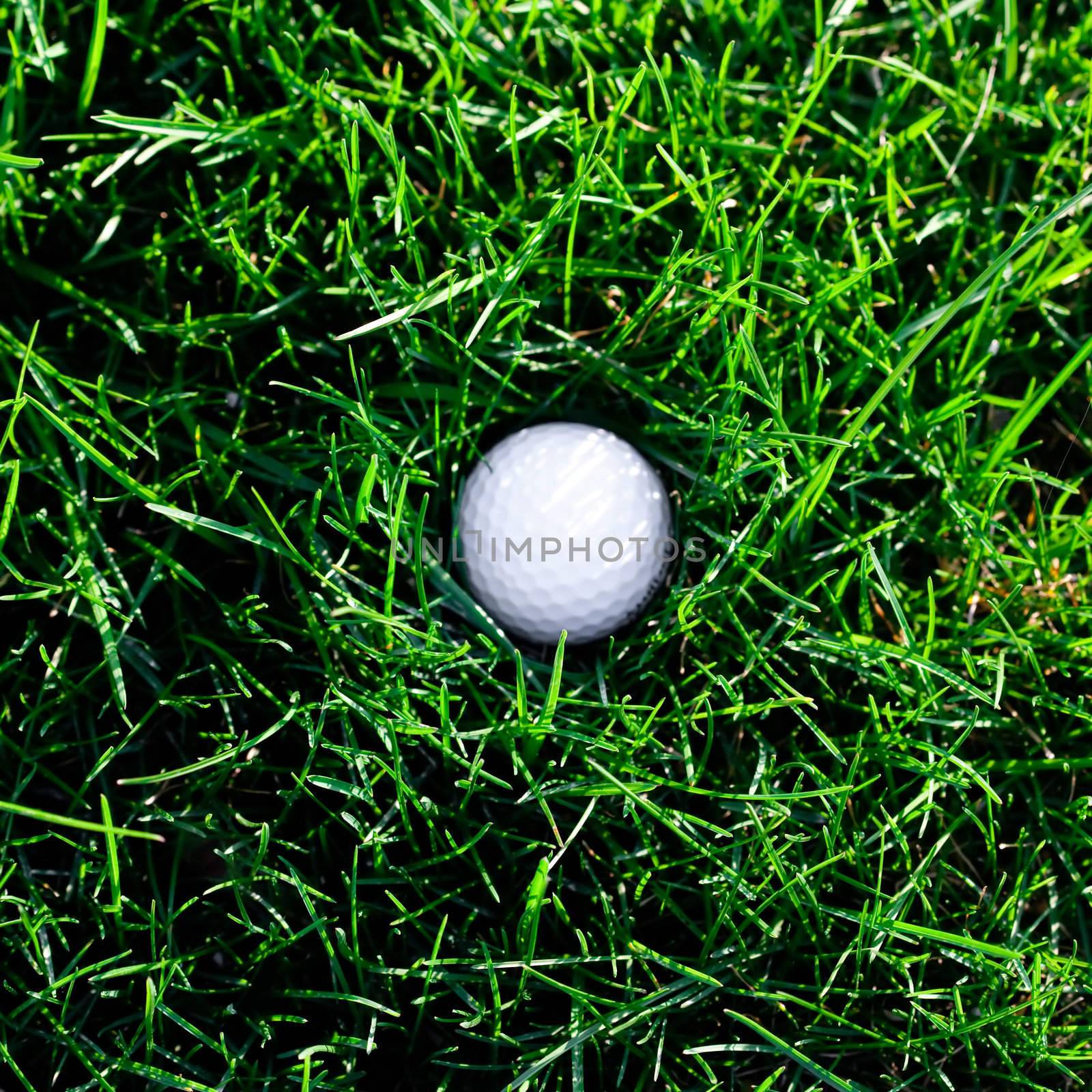 background of spring green grass and golf ball by jannyjus