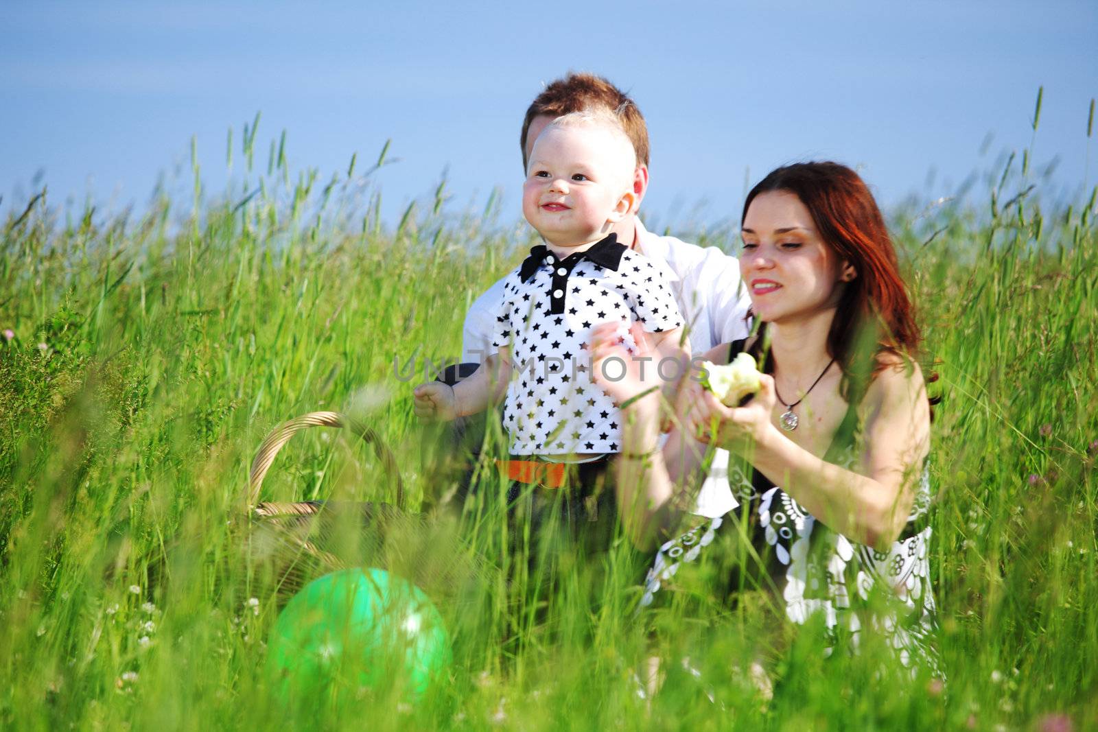  happy family on picnic in green grass