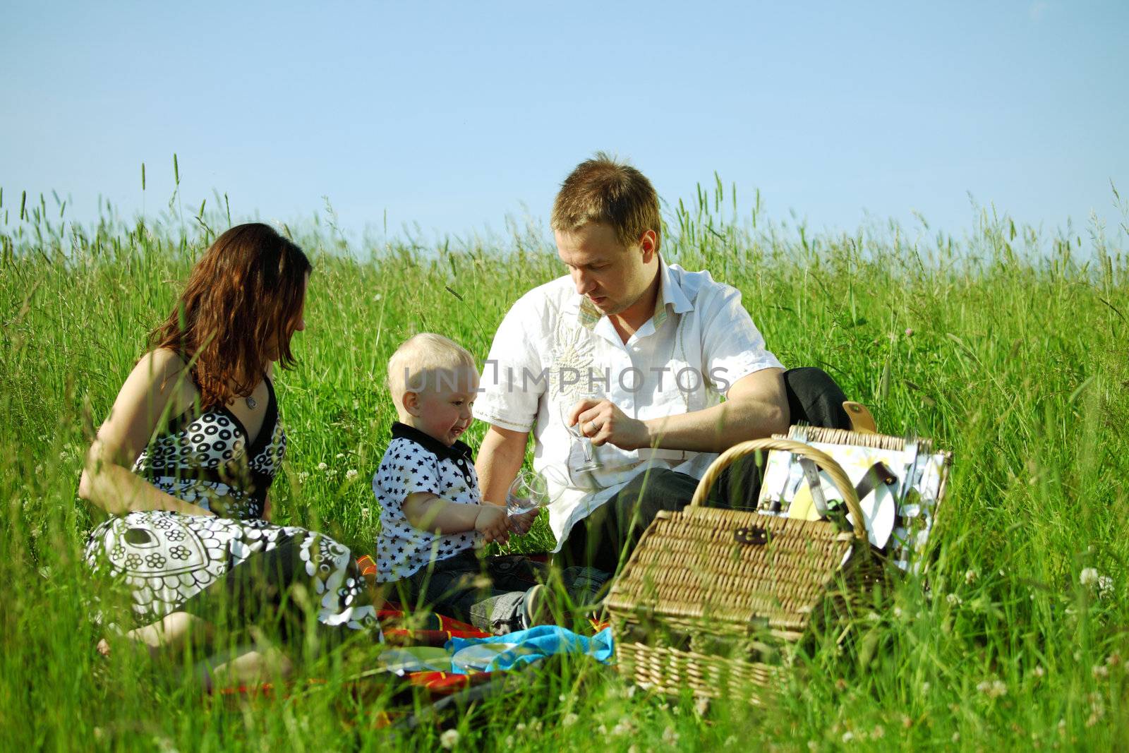  happy family on picnic in green grass