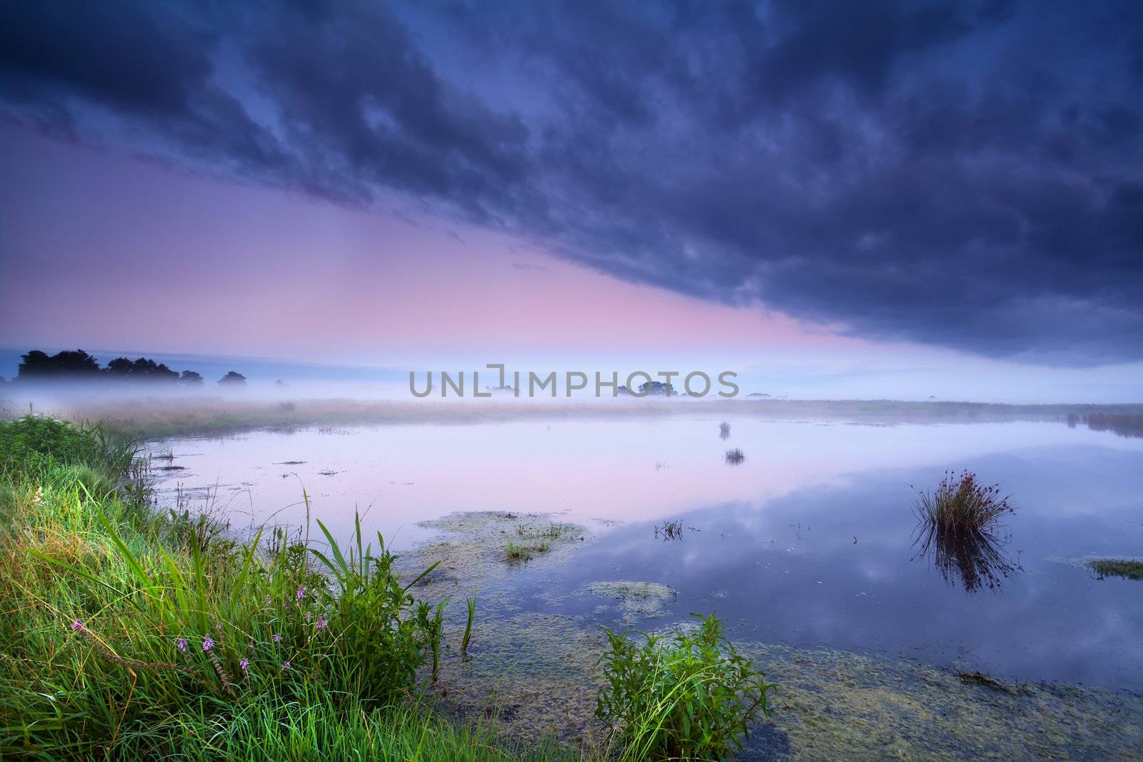 misty sunrise over wild lake in summer