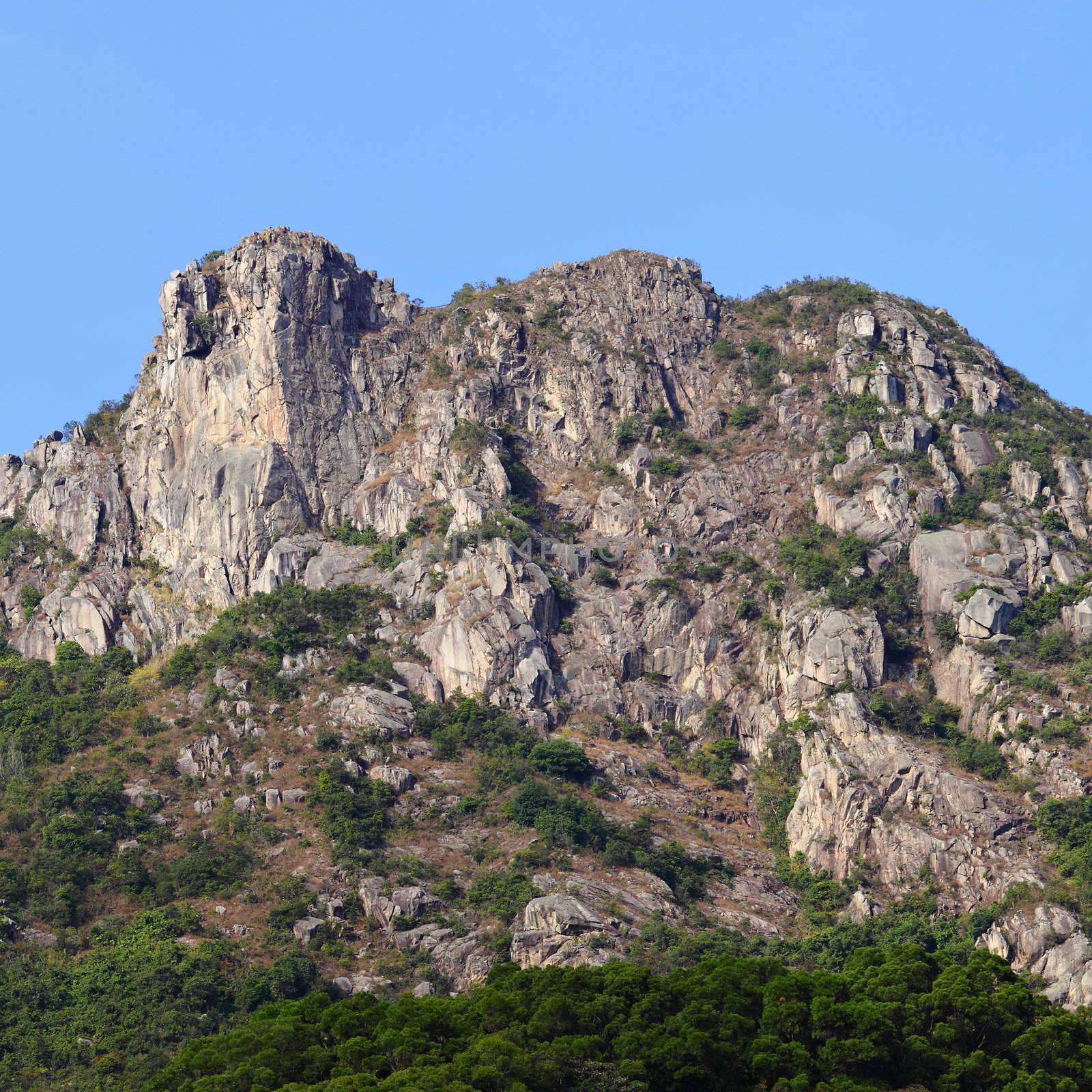 Lion Rock, symbol of Hong Kong spirit by leungchopan