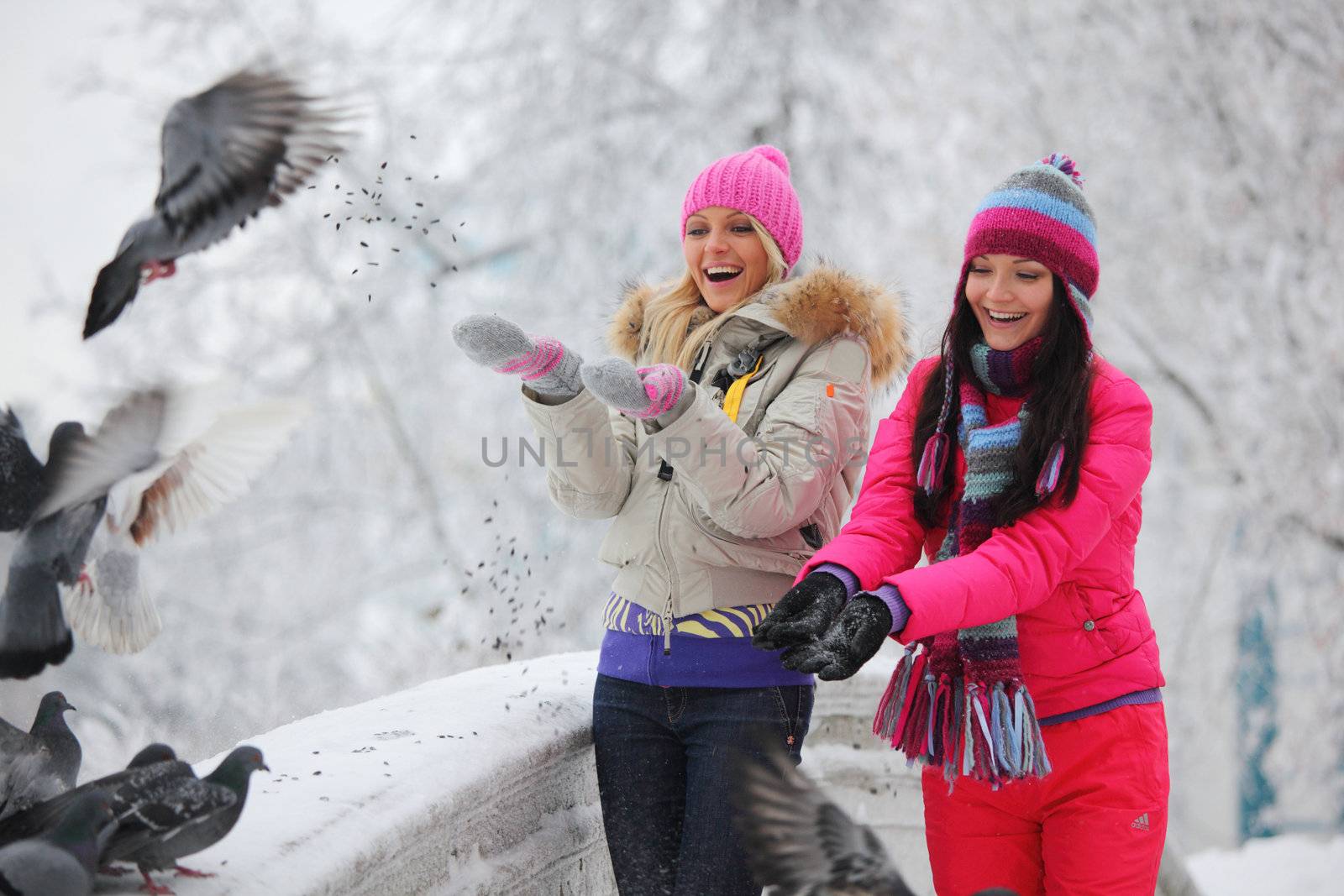winter women give food to the pigeon