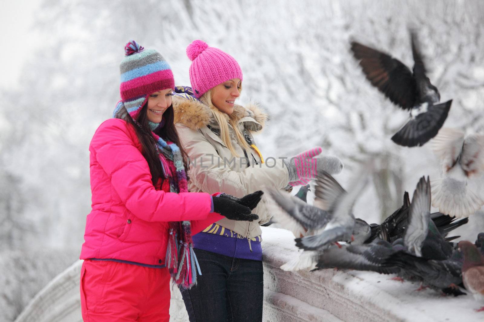 winter women give food to the pigeon