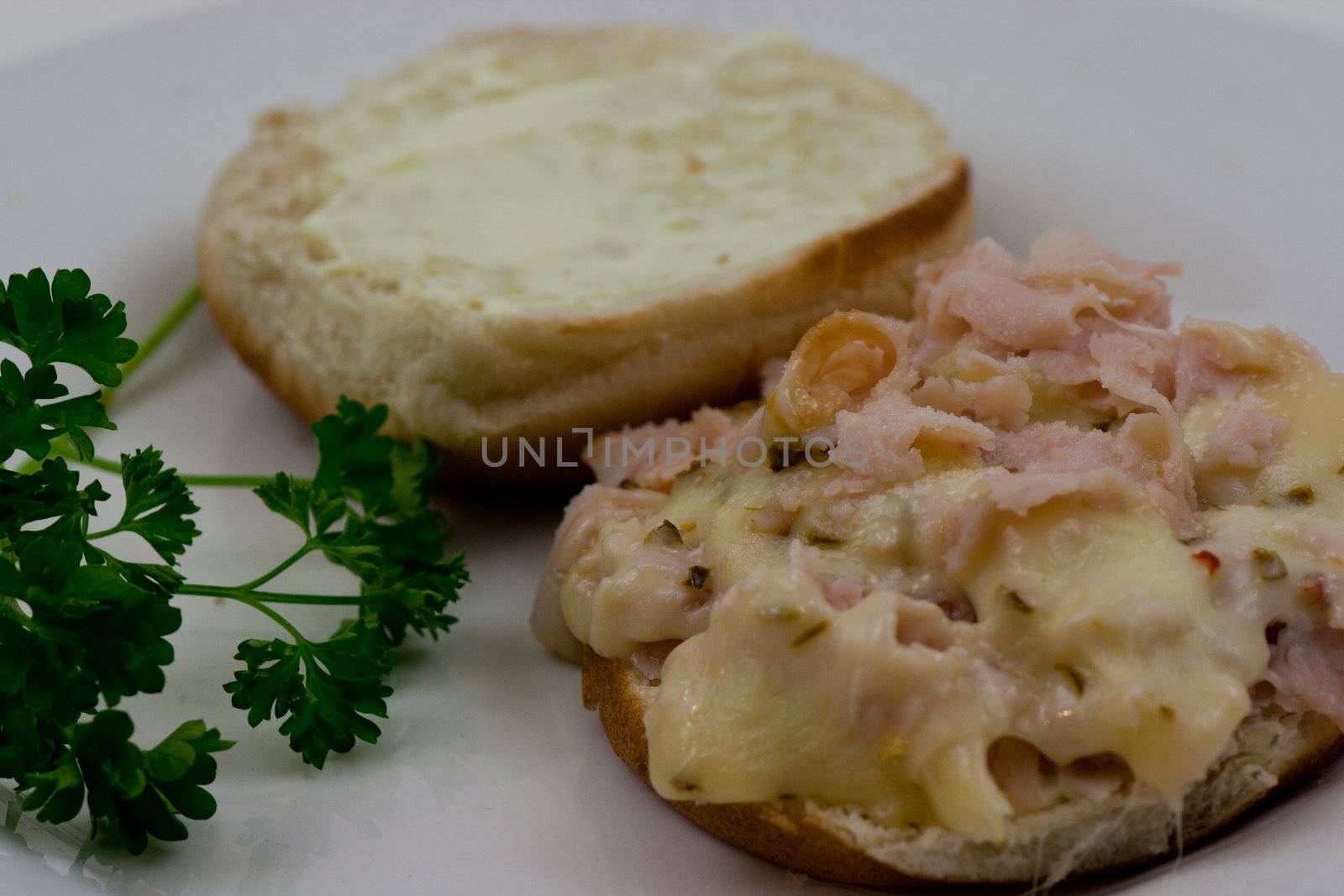 Croped viewof an Open faced chicken sandwich on a bunn with a sprig of parsely.