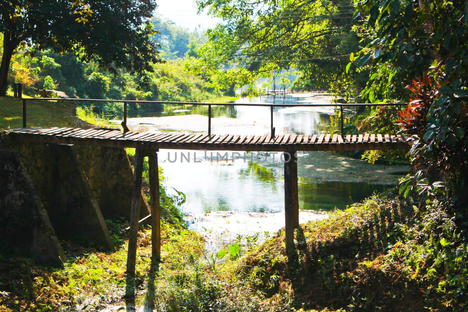 Old bridge cross the river in Laos forest