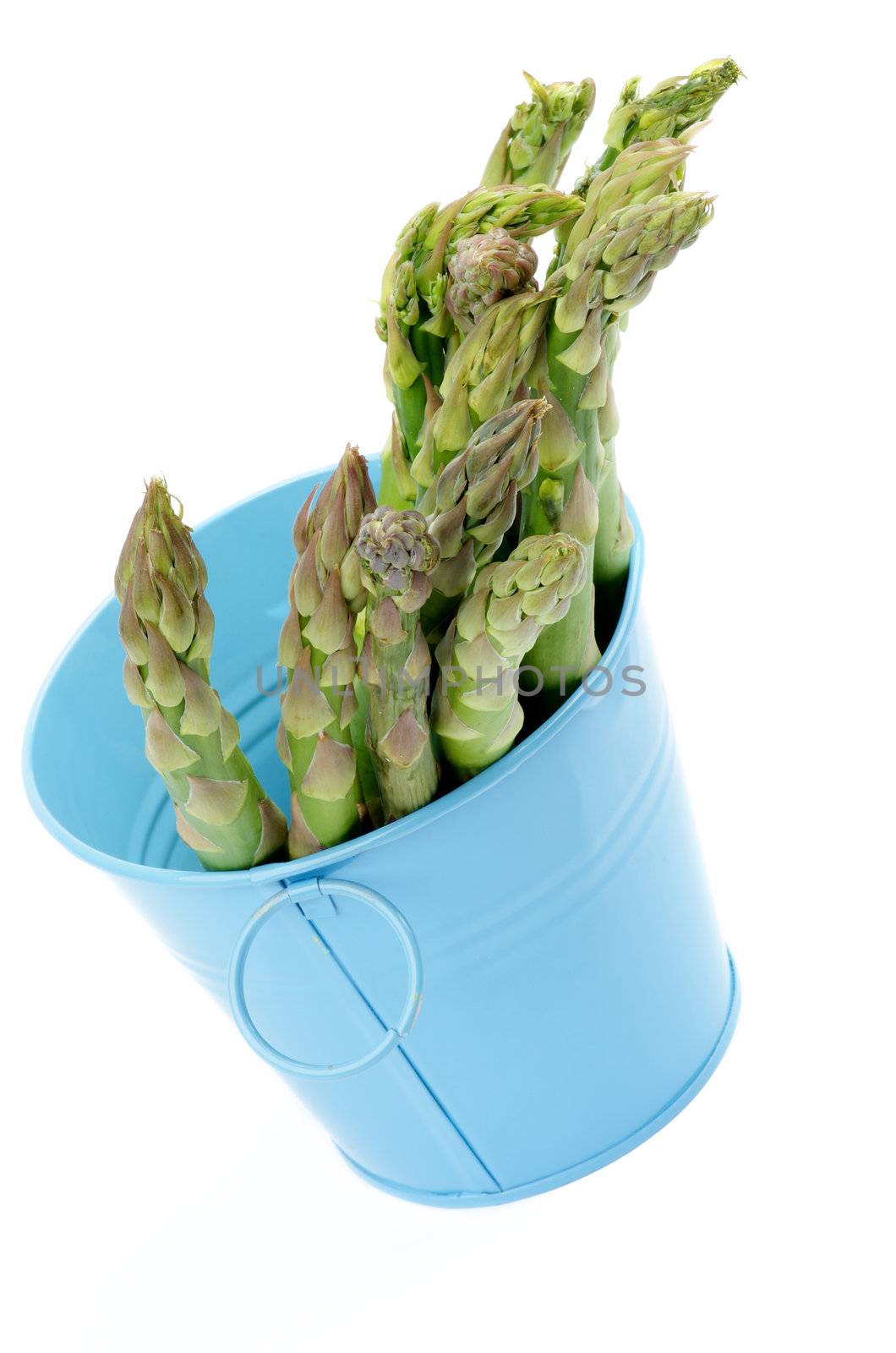 Asparagus in Blue Pot by zhekos