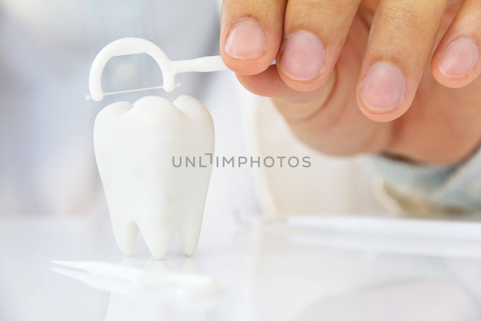 dentist holding dental floss with molar, flossing teeth concept