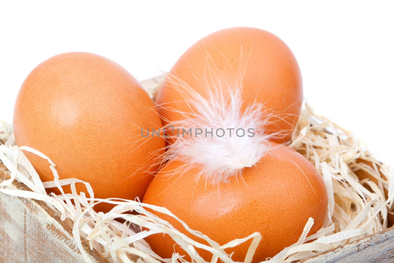 brown eggs at hay, in the old box