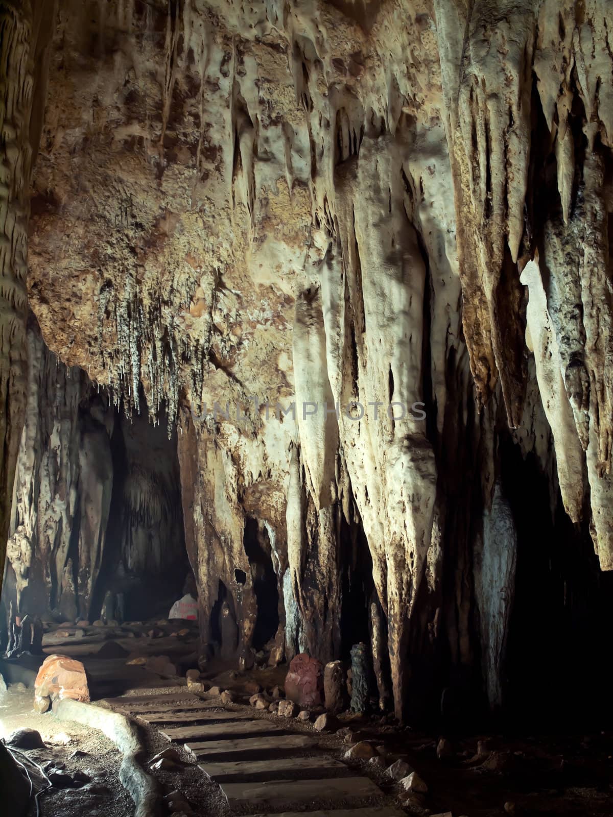 Trail in Tham Khao Bin cave, Ratchaburi, Thailand