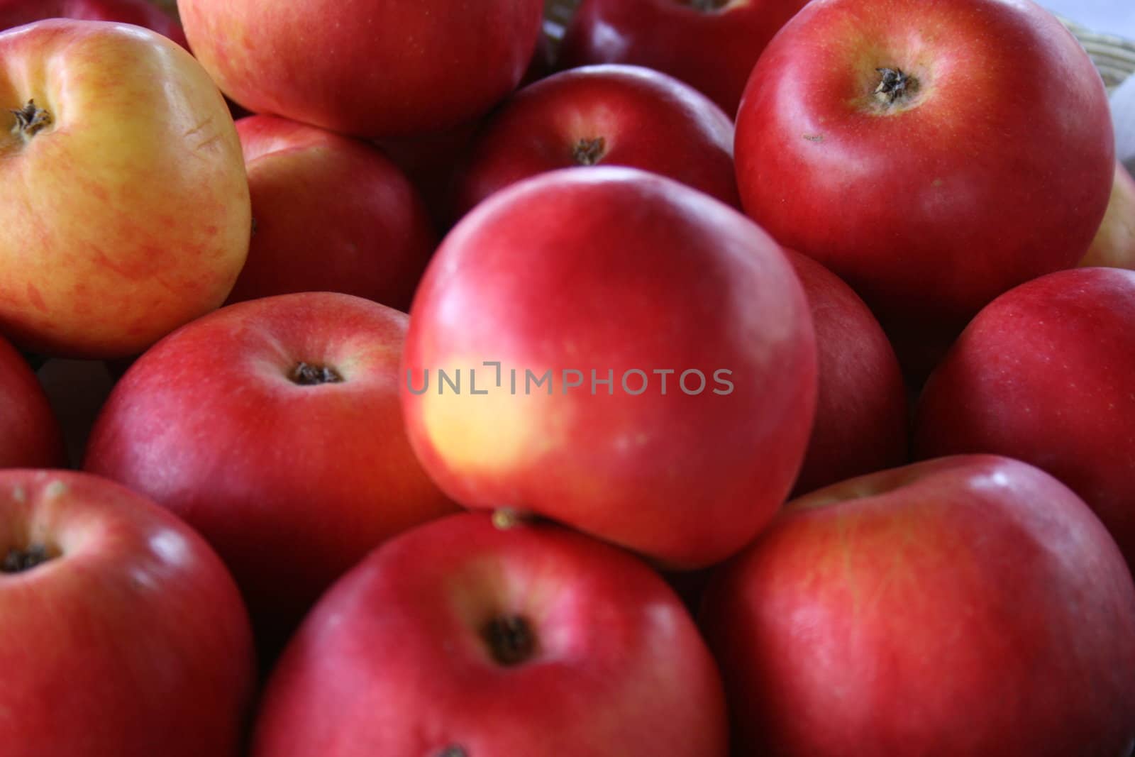 ripe red apples