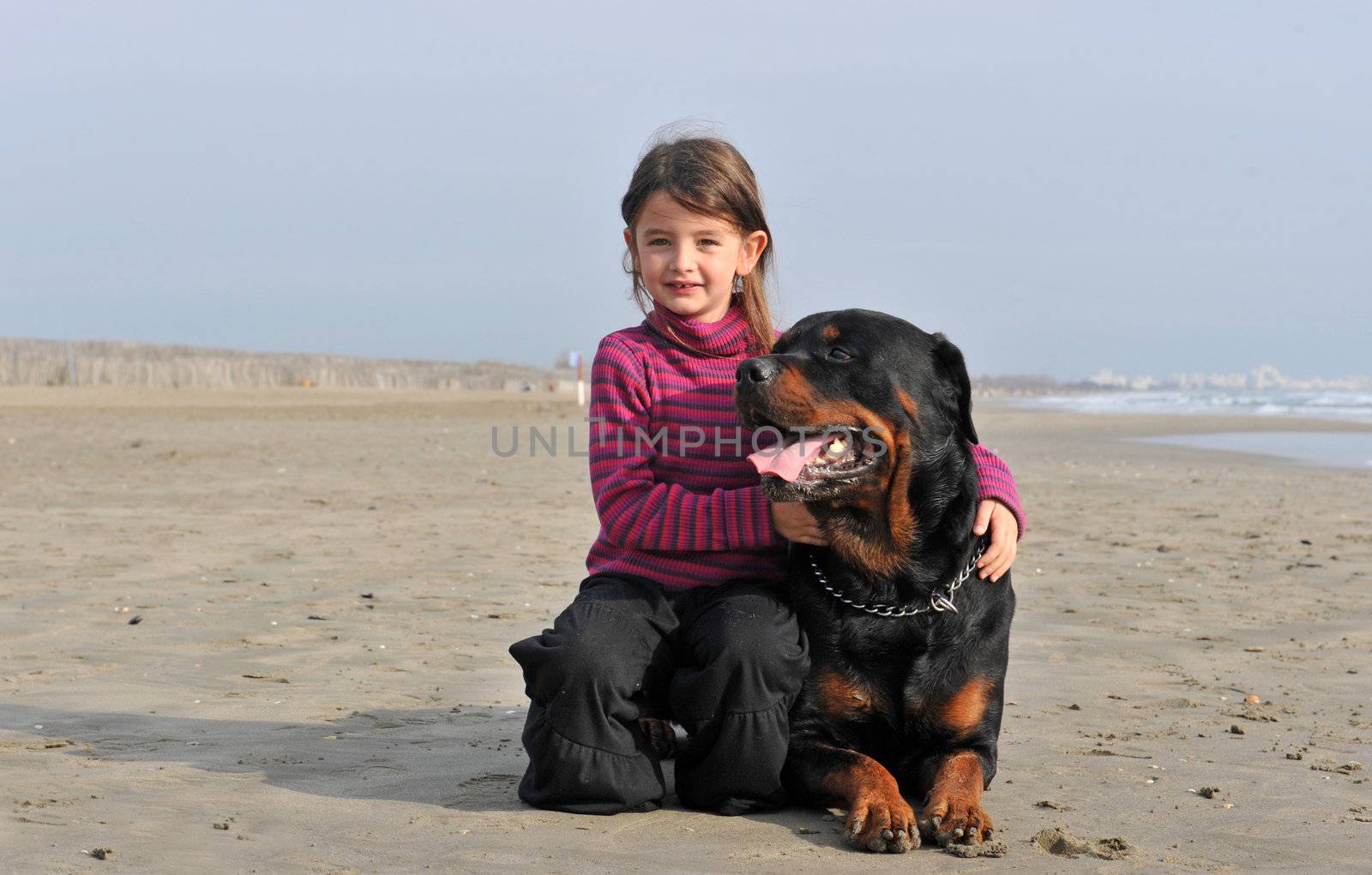 little girl and her purebred  rottweiler on the beach