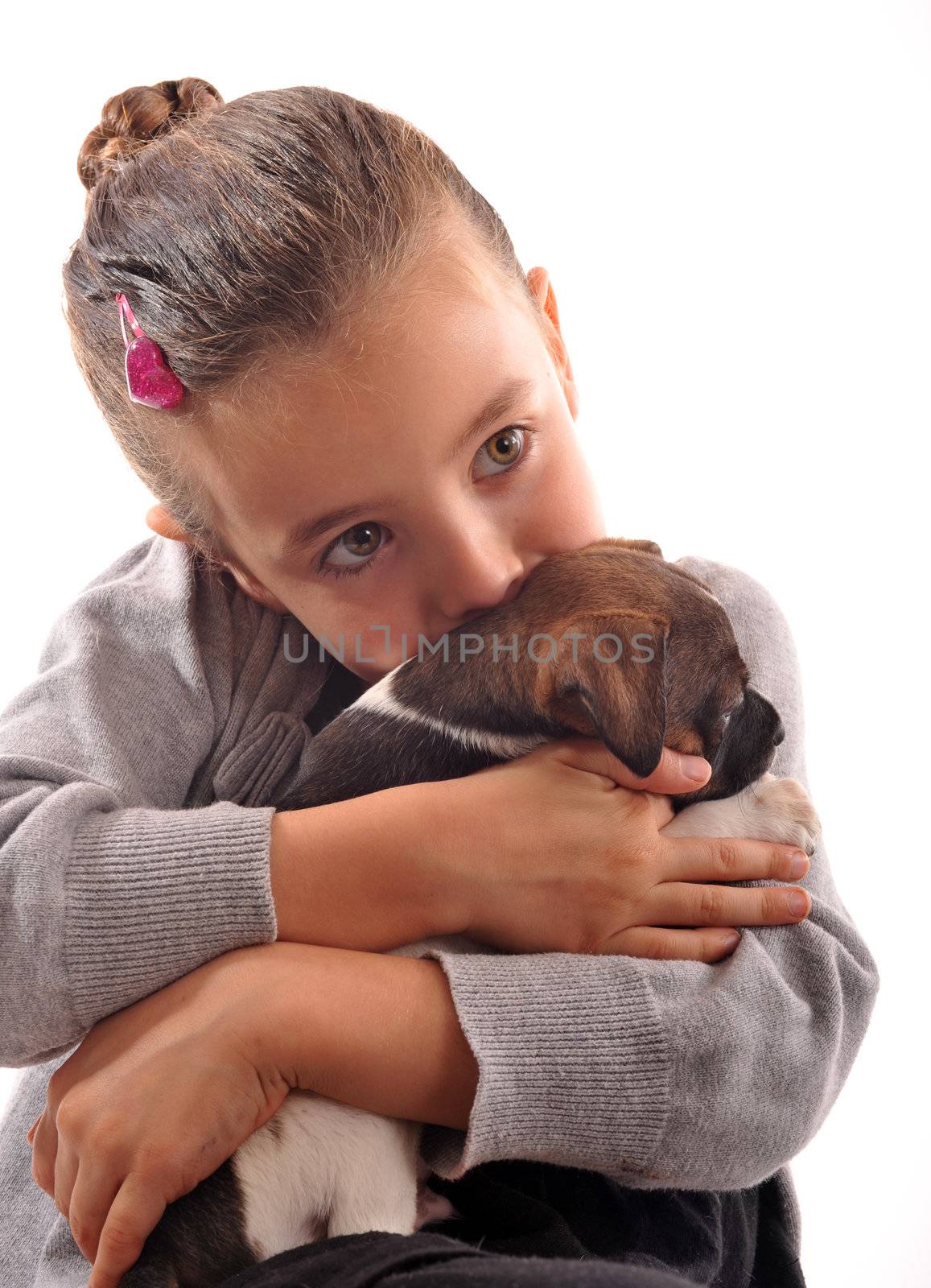  little girl and her purebred puppy jack russel terrier
