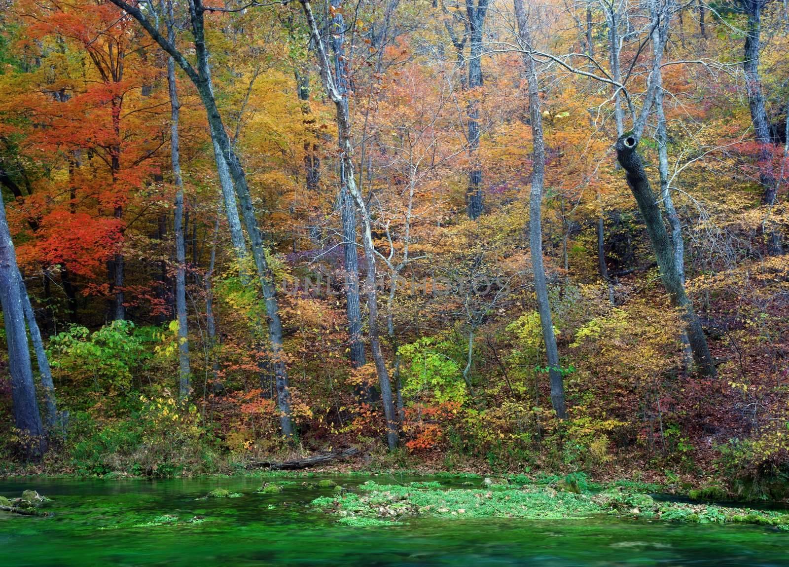 autumn leaves and trees on river by clearviewstock