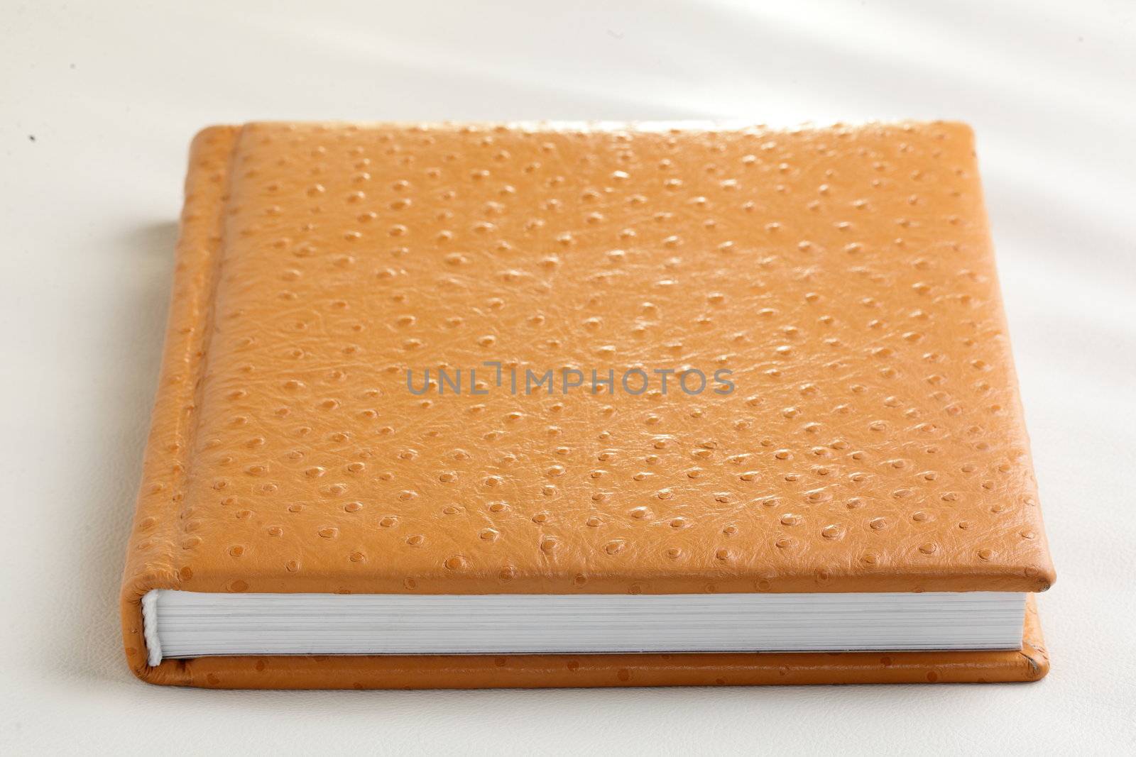 orange leather book on bright background