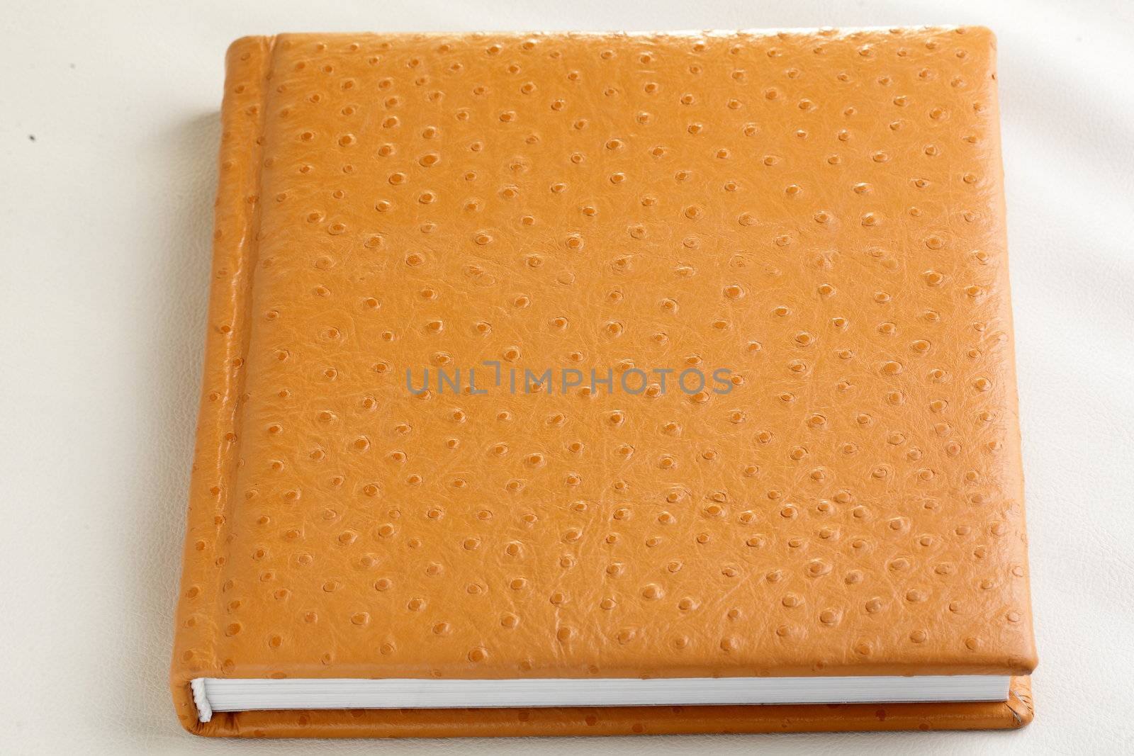 orange book by fiphoto