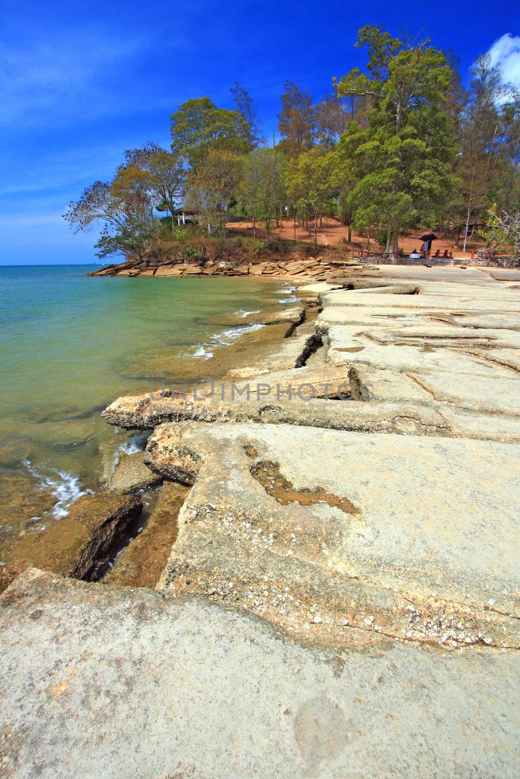 Fossil Beach