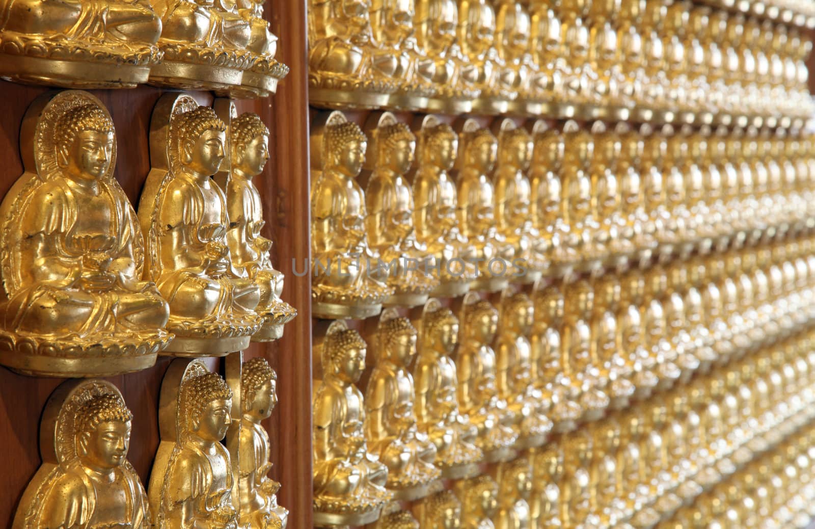 perspective of thousand buddha wall in dragon temple Thailand