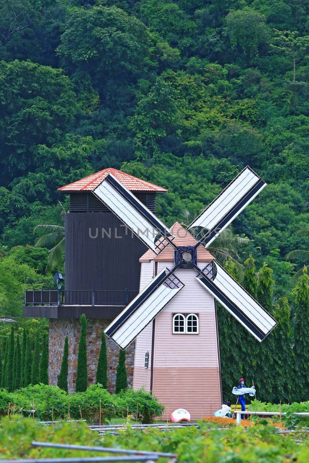 Historic windmill on the Fields at Pattaya, Thailand