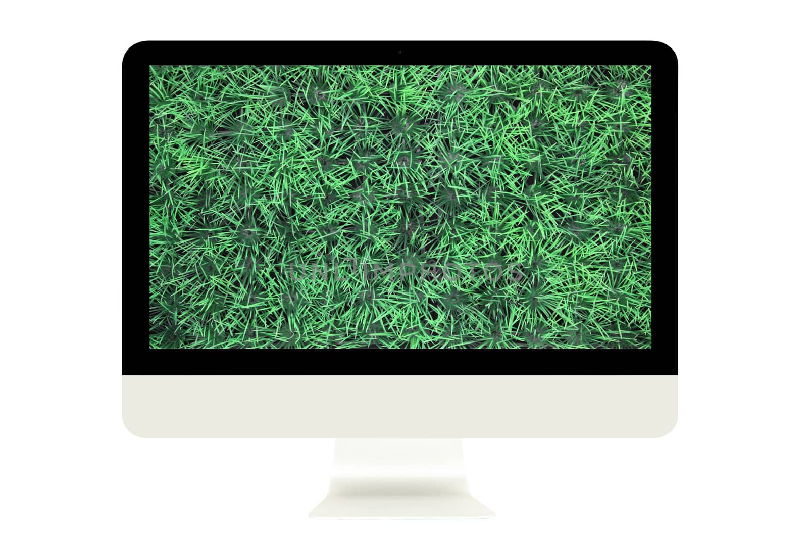 Computer Monitor with green grass on screen isolated on white background.