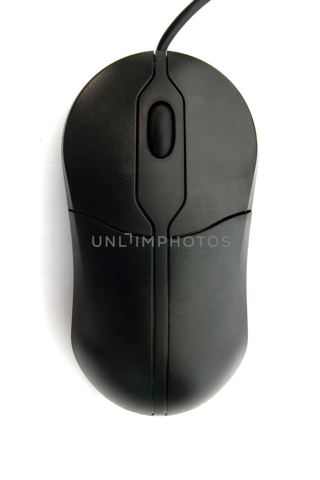 Closeup of Black Mouse islolated on White background