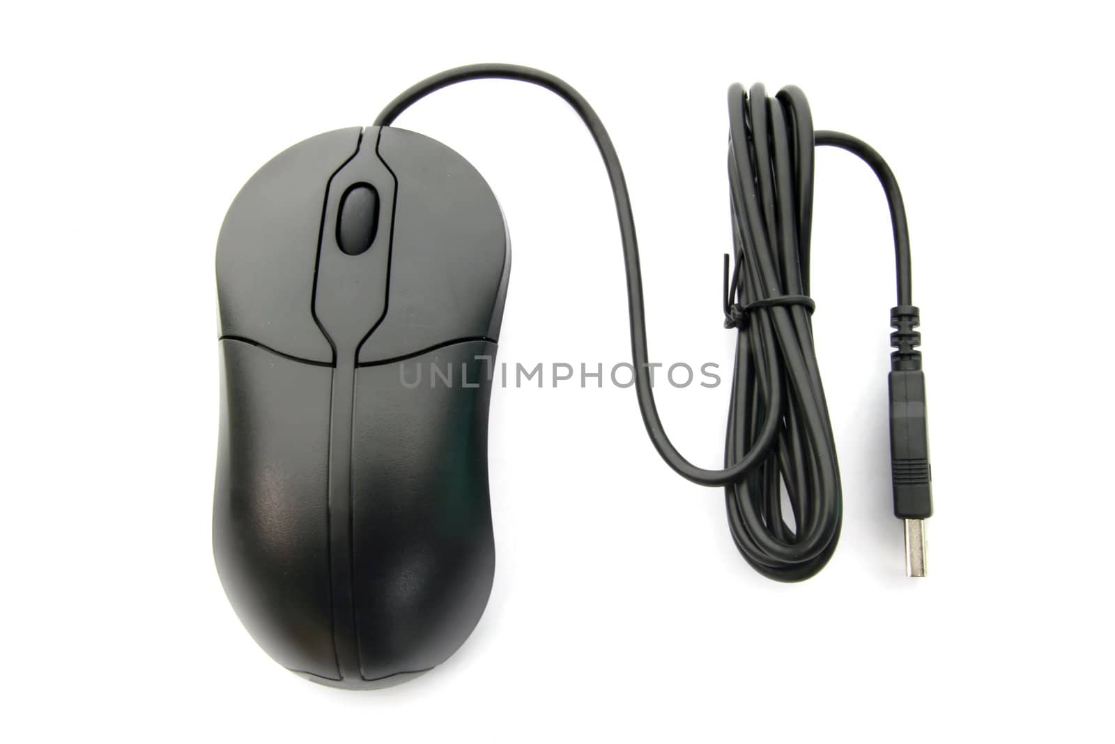 Black Mouse islolated on White background