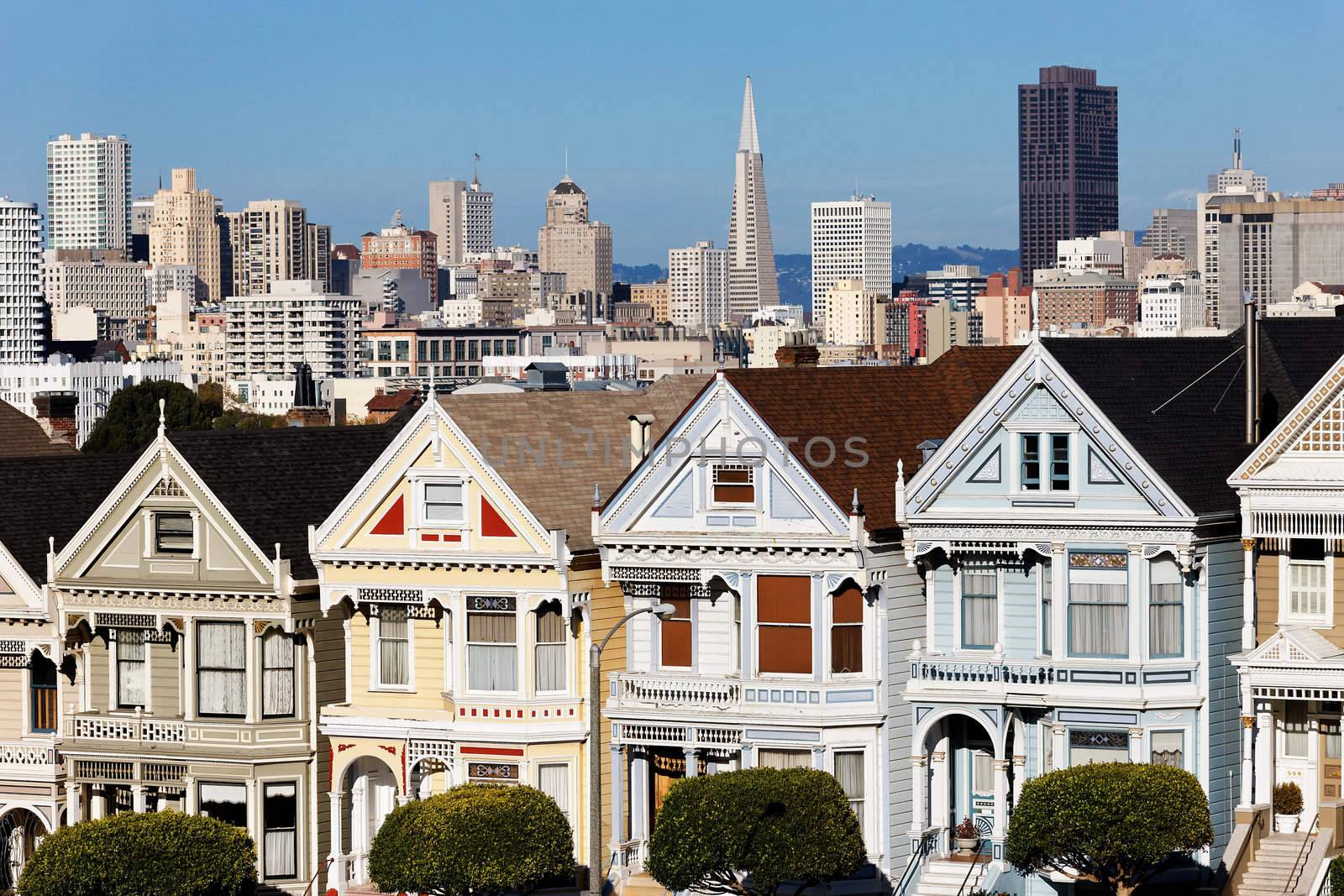 view from Alamo Square, San Francisco. 