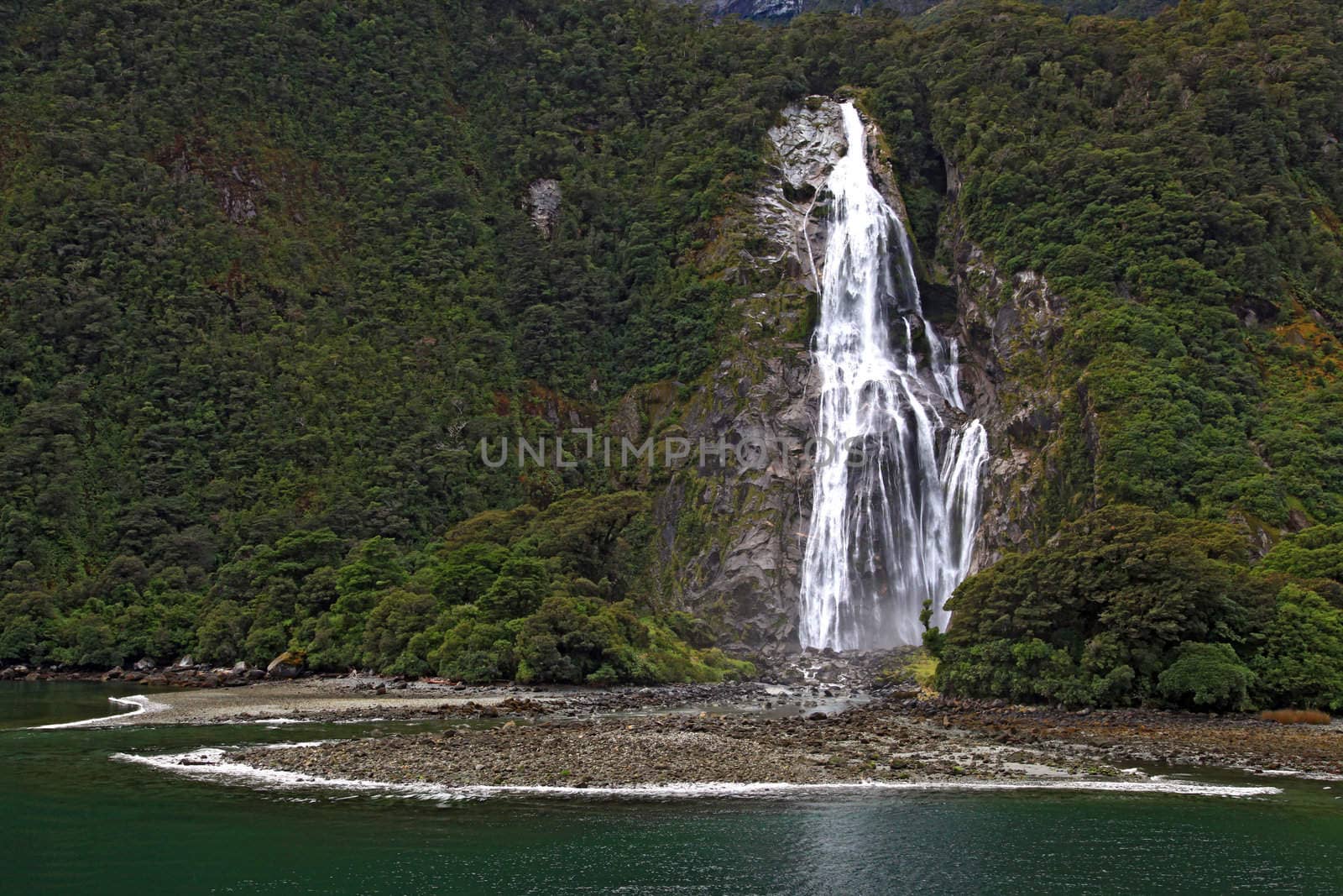 tropical rainforest waterfall in milford sound fiordland of New Zealand