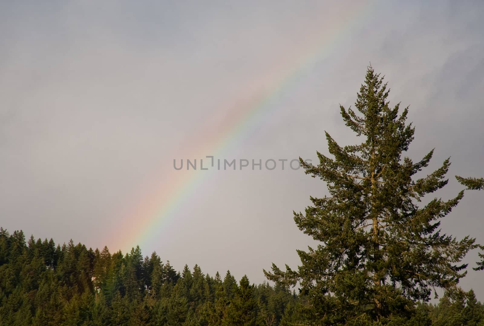 Rainbow near Hood Canal, WA
