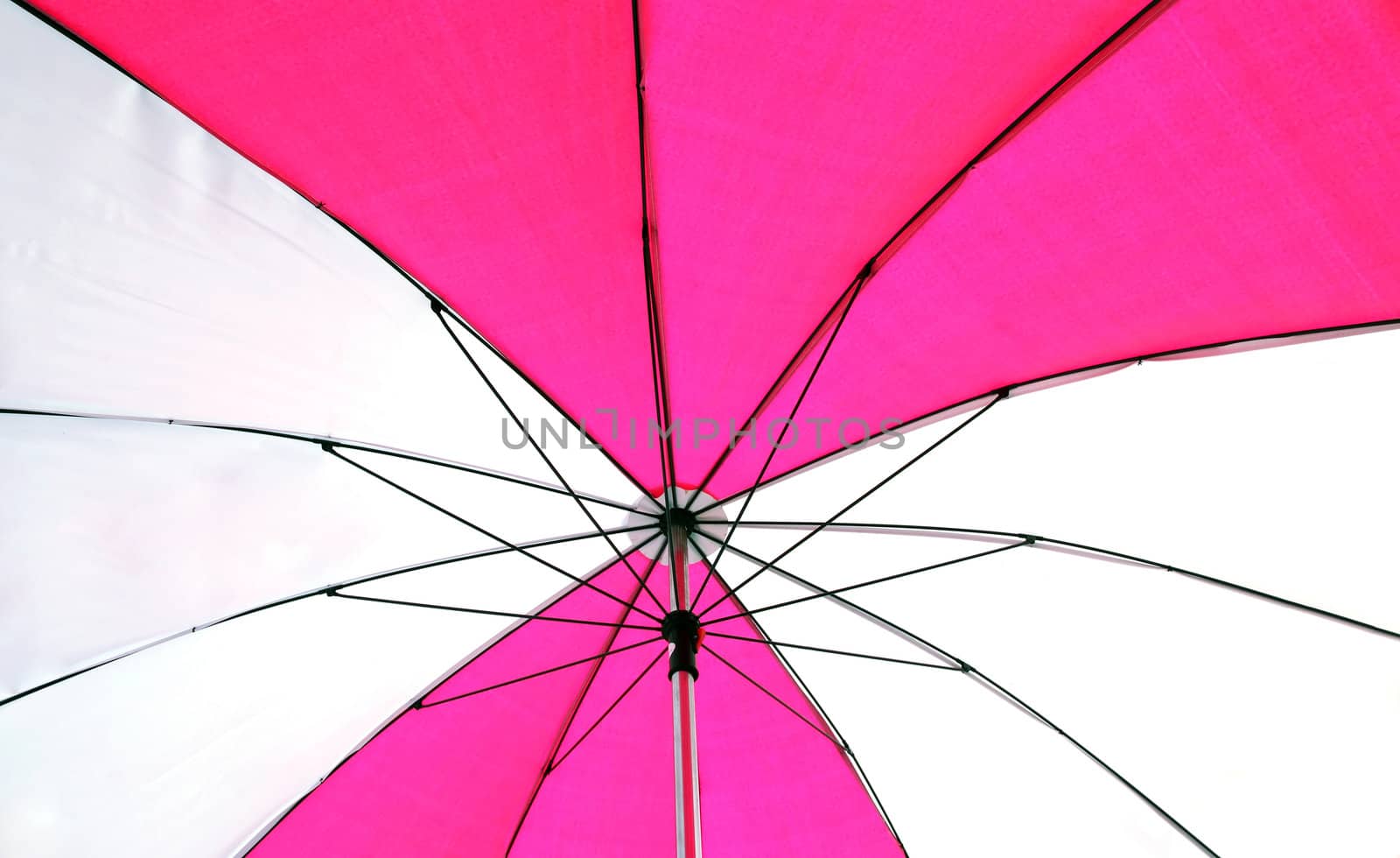Pink Umbrella Using as Background