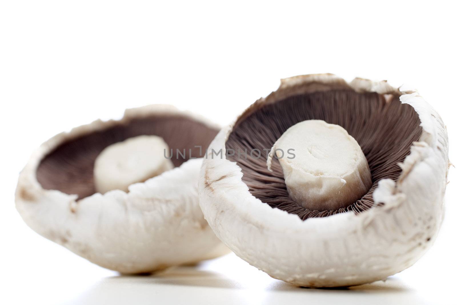 Fresh mushrooms by studiofi