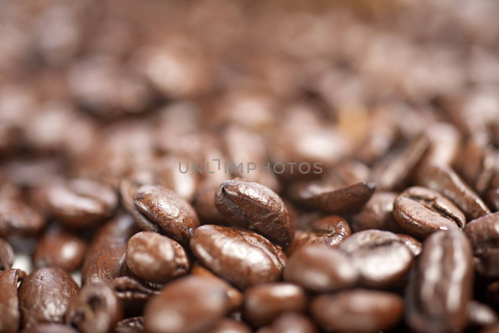 Fresh coffee beans before being ground